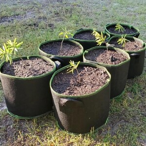 10 Pack 5 Gallon Grow Bags with Handles, Fabric Plant Pots for Vegetables, Reusable Garden Bags, Heavy Duty Potato Growing Bags