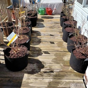 12 Pack 10 Gallon Grow Bags with Handles | Heavy Duty Fabric Pots | Thick Nonwoven Garden Planters | Reusable Vegetable Planter Bags