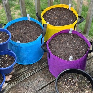 May include: A collection of round fabric grow bags in bright blue, yellow, and purple, each featuring black side handles and white plant identification tags. Two smaller blue plastic pots and one black plastic pot are also visible, all filled with soil.