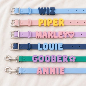 May include: Six pet collars and leashes in various colors including light blue, pink, lavender, dark blue, and teal. Each item features large, raised, block-letter names: WIZ, PIPER, MARLEY with a heart, LOUIE, GOOBER with a flower, and ANNIE.