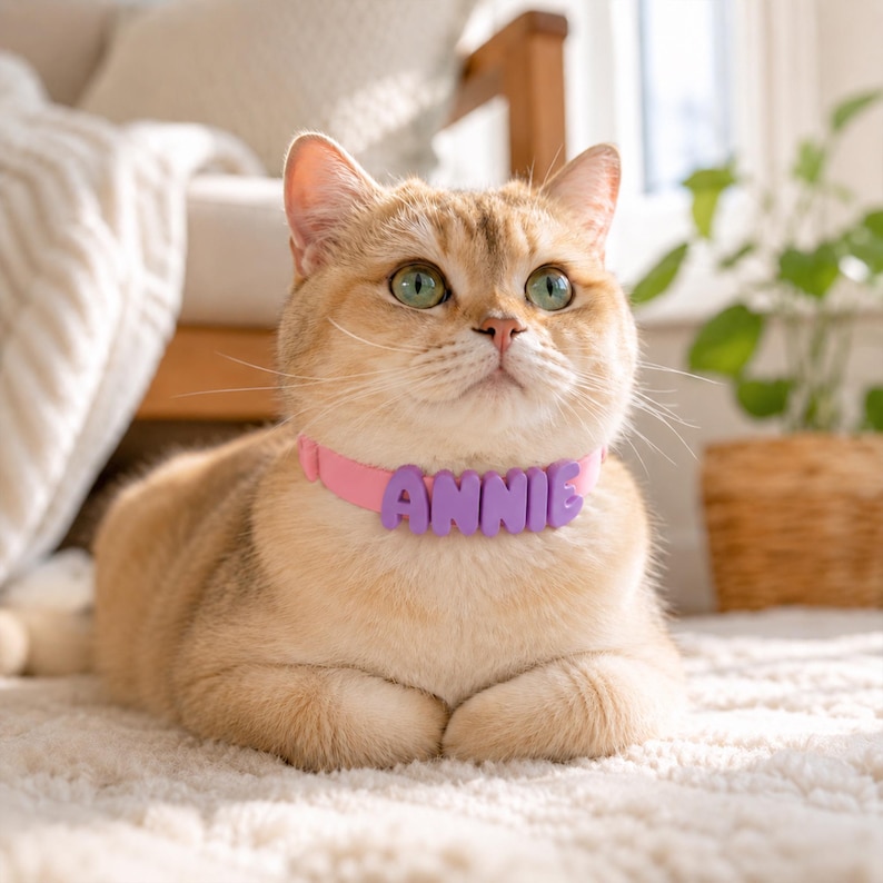 May include: A golden-furred cat with green eyes wearing a light pink collar featuring the name ANNIE in raised, purple, rounded block letters. The cat is resting in a seated position, looking forward with its ears pointed upward and whiskers visible.