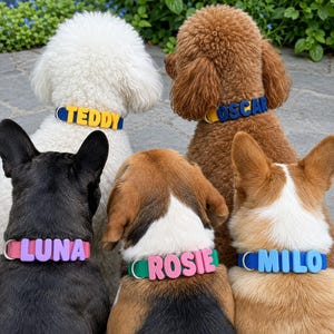 Custom Dog Collar with Name, Personalized Pet ID Collar, Silicone Puppy Collar, Adjustable Small Dog Collar, New Puppy Gift, Dog Mom Gift image 4