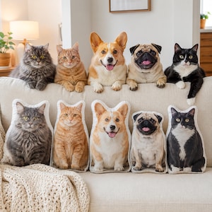 Puede incluir: Cinco cojines con formas personalizadas que presentan impresiones fotográficas de alta resolución de un gato gris de pelo largo, un gato atigrado naranja, un Corgi, un pug y un gato tuxedo blanco y negro, a juego con los animales del sofá.