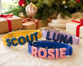 Personalized Pet Christmas Gift, Custom Name Pet Collar, Dog Mom Cat Mom Gift, Pet Lover Holiday Present, Puppy Kitten Christmas Gift Idea