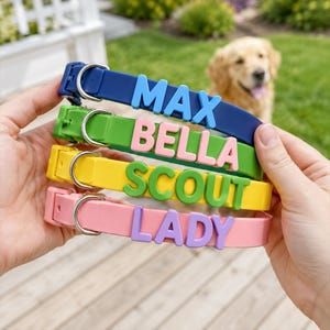May include: Four silicone pet collars in blue, green, yellow, and pink, each featuring a silver metal buckle and large, raised, contrasting-colored letters spelling out the names MAX, BELLA, SCOUT, and LADY respectively.