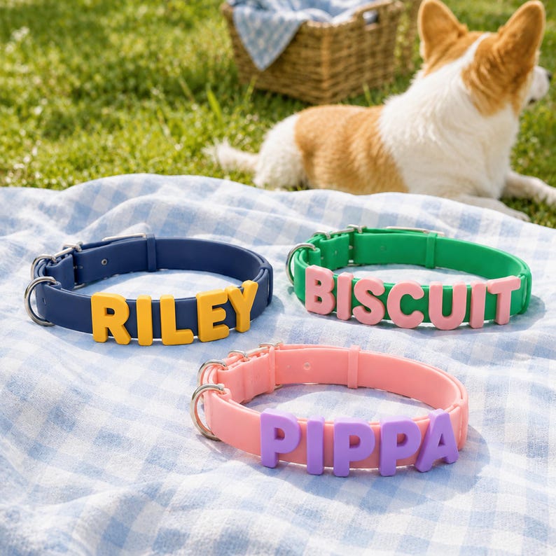 May include: Three silicone dog collars with metal hardware. One navy blue collar features yellow letters spelling RILEY. One green collar features pink letters spelling BISCUIT. One light pink collar features purple letters spelling PIPPA.