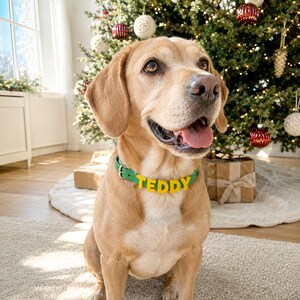 Custom Dog Collar with Name, Personalized Pet ID Collar, Silicone Puppy Collar, Adjustable Small Dog Collar, New Puppy Gift, Dog Mom Gift image 2