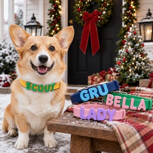 Custom Dog Collar with Name, Personalized Pet ID Collar, Silicone Puppy Collar, Adjustable Small Dog Collar, New Puppy Gift, Dog Mom Gift image 13