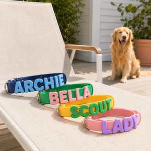 May include: Four dog collars in blue, green, yellow, and pink, each featuring large, raised, contrasting-colored letters spelling out the names ARCHIE, BELLA, SCOUT, and LADY. Each collar includes a silver-toned metal D-ring and buckle hardware.
