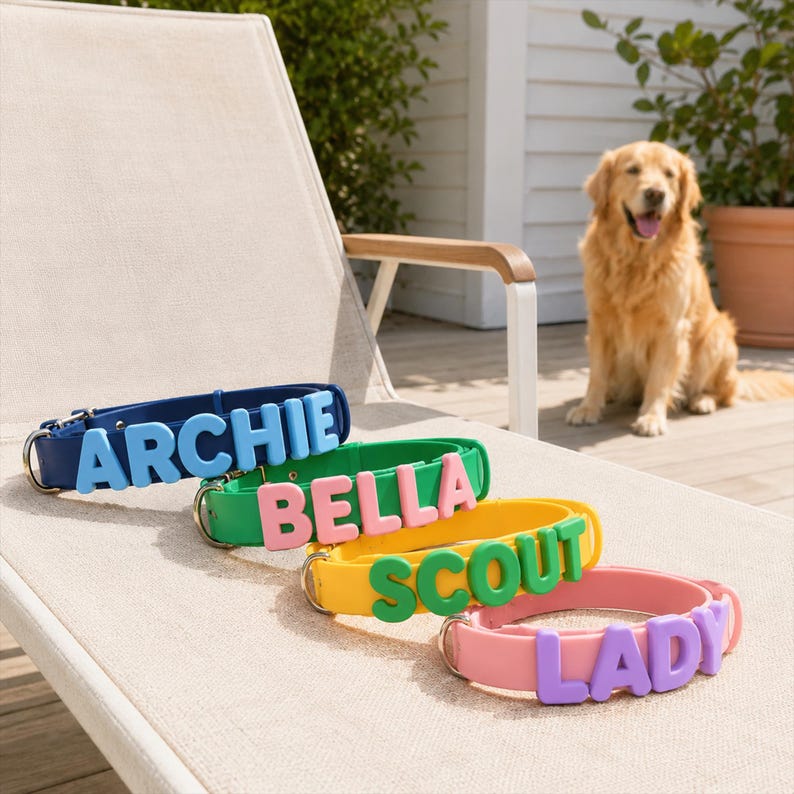 May include: Four dog collars in blue, green, yellow, and pink, each featuring large, raised, contrasting-colored letters spelling out the names ARCHIE, BELLA, SCOUT, and LADY. Each collar includes a silver-toned metal D-ring and buckle hardware.