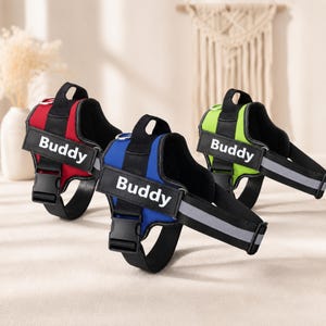 May include: Three dog harnesses in red, blue, and lime green, each featuring a black strap with the word "Buddy" printed in white letters. The harnesses include a top handle, a metal D-ring for a leash, and adjustable black straps with buckles.