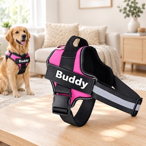 Könnte beinhalten: Ein leuchtend pinkfarbenes Hundegeschirr mit schwarzen Rändern und Gurten, das einen auffälligen schwarzen Aufnäher mit dem weißen Schriftzug Buddy aufweist. Das Geschirr verfügt über eine stabile schwarze Kunststoffschnalle, einen D-Ring und reflektierende Streifen.
