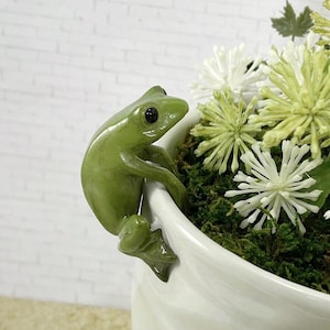 May include: A small, smooth, olive-green frog figurine with a glossy finish and black eyes, perched on the rim of a white ceramic pot. The pot contains green moss and clusters of small, white, star-shaped flowers with thin, pointed petals.