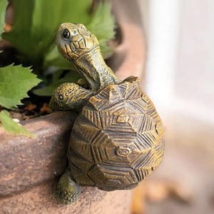 May include: A small, bronze-colored turtle figurine designed to hang over the edge of a container. The turtle features a detailed, textured shell with geometric patterns and a raised head with dark eyes, crafted to appear as if it is climbing.