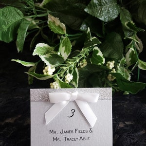Wedding Place Cards, Glitter Place Cards, Silver Glitter Place Cards, Ribbon Place Cards, Shimmer Place Cards, Tented Place Cards