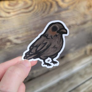 Tiny Bird Vinyl Sticker - Raven  | Matte Sticker | Waterproof Stickers | Die Cut | Cute Raven Sticker | Crow Sticker | Bird Stickers