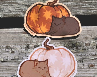 Halloween Pumpkin Kitty Vinyl Sticker | Waterproof, UV-Resistant, Die-Cut | Cutesy | Witchy Cat Familiar Stickers | Whimsigoth