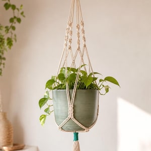 May include: A macrame plant hanger made of off-white cord with teal accents at the top and bottom, featuring a knotted design that holds a smooth, sage green ceramic pot containing a green leafy plant with trailing vines and a bottom tassel.