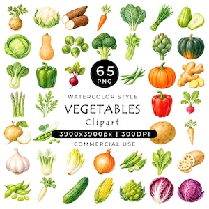 Può includere: Una collezione di illustrazioni di verdure ad acquerello che include cavolfiore, broccoli, zucca, peperoni, carote e verdure a foglia. L'immagine contiene il testo 65 PNG, WATERCOLOR STYLE, VEGETABLES, Clipart, 3900x3900px | 300DPI e COMMERCIAL USE.