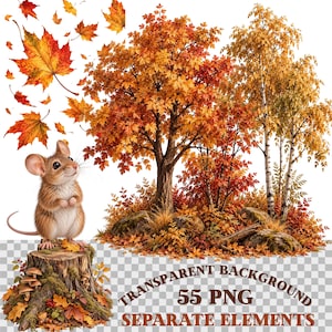 May include: A digital illustration featuring a small brown mouse standing on a mossy tree stump, surrounded by autumn trees with orange and yellow leaves, scattered falling leaves, and the text Transparent Background 55 PNG Separate Elements.