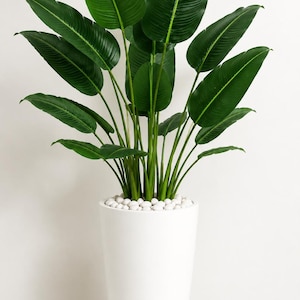 May include: A tall artificial bird of paradise plant with large, vibrant green leaves and slender stems. The plant is potted in a smooth, tapered white cylindrical planter, with the soil surface covered by a layer of small, rounded white stones.