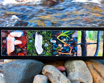 WORDS Inspired by Nature: FISH with river rocks and driftwood (photography, inspirational art, gift, home decor, fishing, Father's Day)