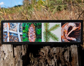 WORDS Inspired by Nature: HIKE with pinecone, evergreen and rustic wood (photography, art, gift, home decor, hiking, outdoor recreation)