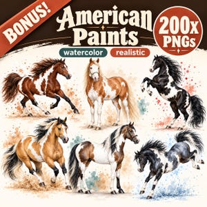 Könnte beinhalten: Eine digitale Sammlung von 200x PNG-Bildern mit dem Titel American Paints, die Aquarell- und realistische Illustrationen von Pferden zeigt. Die Grafik zeigt sechs verschiedene Pferde mit unterschiedlichen Fellmustern in Braun, Weiß, Schwarz und Hellbraun vor einem hellen Hintergrund mit farbigen Farbspritzern.