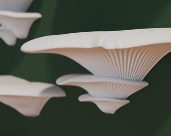 adorable mushroom shelves. 3D printed to your needs