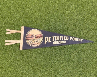 Vintage Petrified Forest Arizona Felt Pennant National Park Logs Retro