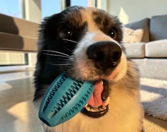 Interactive Dog Chew Toy Ball Natural Rubber Teeth Cleaning Treat Dispenser Pet Toy for Dogs