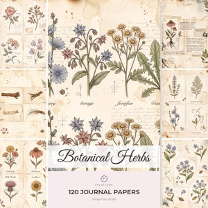 Könnte beinhalten: Eine Sammlung von 120 Journal-Papieren mit dem Titel Botanical Herbs, die Illustrationen verschiedener Pflanzen, Blumen und Wurzeln im Vintage-Stil auf gealtertem, fleckigem Papierhintergrund mit kursiver Schrift und botanischen Beschriftungen zeigt.