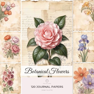 Könnte beinhalten: Eine Sammlung von 120 Journal-Papieren mit botanischen Illustrationen verschiedener Blumen, darunter rosa Kamelien, Tulpen, Pfingstrosen, Schwertlilien und Kosmeen auf gealtertem, pergamentartigem Papier mit Vintage-Schrift und Poststempeln.
