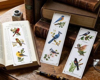 Bird Collection Bookmarks: Fine art Prints, Cardinal, Bluebird, Bluejay, Oriole