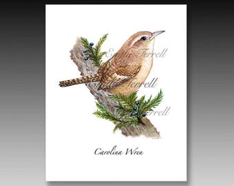 Carolina Wren Art Print: Watercolor Bird Illustration on Photo Matte Paper