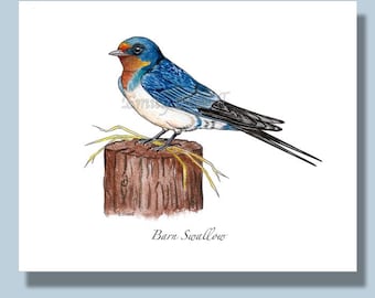 Barn Swallow Wall Print: Bird Painting, greeting cards, nature art