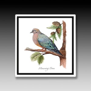Mourning Dove Tile, Doves, Dove ceramic, Ceramic tiles, Art Tiles, Bird Tiles, Dove Prints