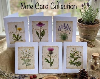 Botanical Wildflowers Illustrations Note Cards: Apothecary Medicinal Herbs Stationery
