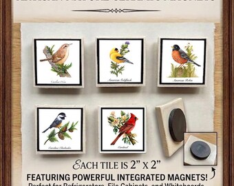 Miniature Bird Prints on Ceramic Tile Magnets: nature, birds