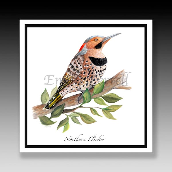 Northern Flicker Woodpecker, Woodpecker Tile, Woodpecker Print, Flicker Print, Bird Decor, Bird Art, Bird Print, Illustration, Ceramic Tile.