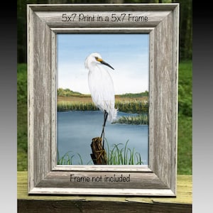 Egret Art Print: Vintage Bird Illustration, Acrylic Painting Reproduction