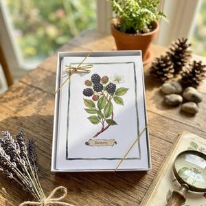 Wild Berry Illustration Note Cards: Framable Botanical Prints (Set of 8)