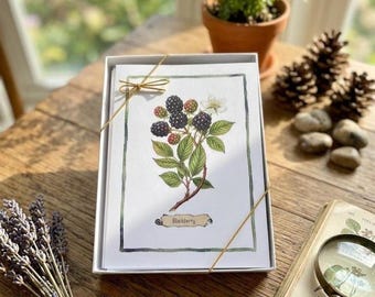 Wild Berry Illustration Note Cards: Framable Botanical Prints (Set of 8)