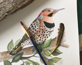 Flicker Bird, Northern Flicker Bird Print, Woodpecker, Woodpeckers, Bird Illustrations