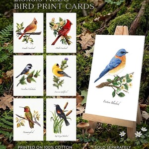 May include: A collection of 2.5 x 3.5 inch ACEO bird print cards. The cards feature watercolor illustrations of various birds, including a cardinal, chickadee, goldfinch, hummingbird, and red-winged blackbird. The text on the cards reads "PRINTED ON 100% COTTON FINE ART EXTRA FINE TEXTURE 320 GSM PAPER."
