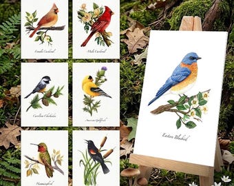 Bird ACEO Prints: Trading Cards, Mini Art, 2.5"x3.5"