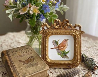 Carolina Wren Art Print: Watercolor Bird Illustration on Photo Matte Paper