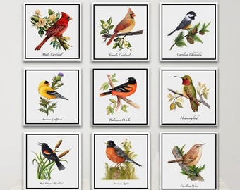 23 Individual Bird Art Ceramic tiles: Wall Decor, Illustrations, Collection, Tabletop Easel