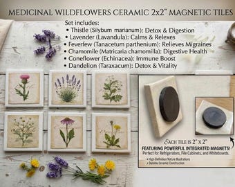 Set of 6 Wildflower Magnets: Botanical Prints, Illustration color flowers, Kitchen Decor