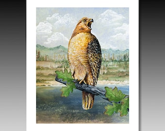 Hawk Print, Red Tail Hawk, Birds of Prey, Bird Paintings, Hawks, Hawk Paintings, Hawk Art, Hawk Scene, Mountain Scene, Bird Painting.